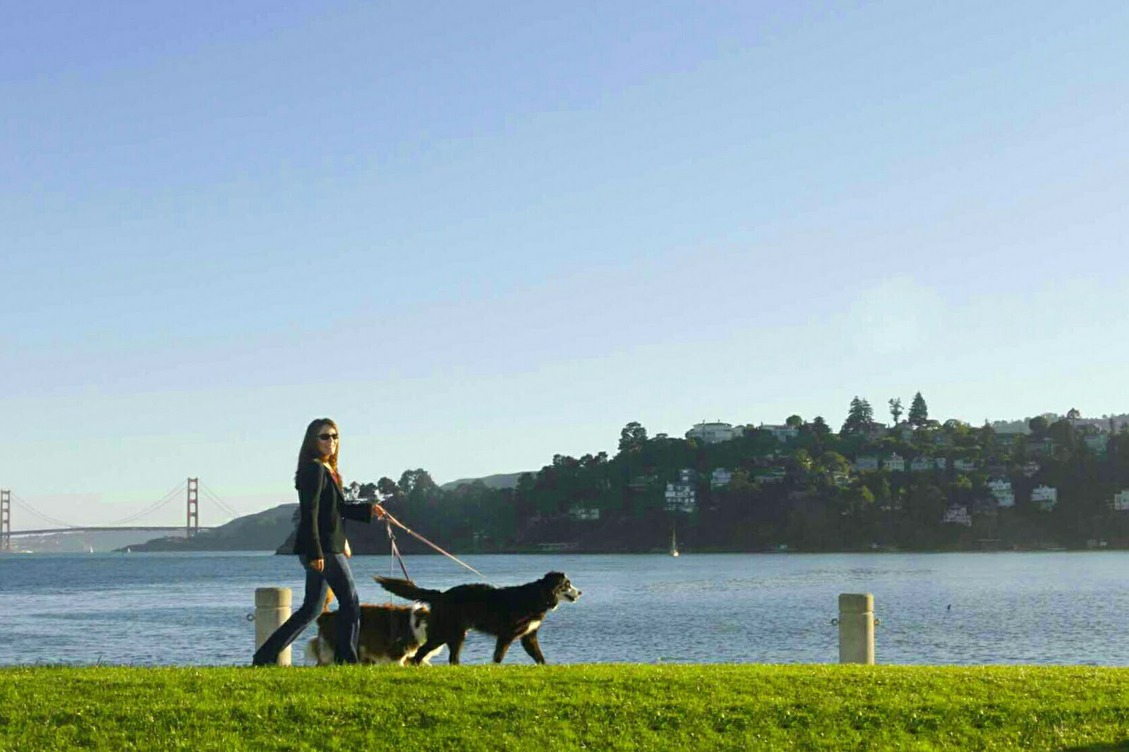 Helene L Taylor Tiburon California Golden Gate Bridge