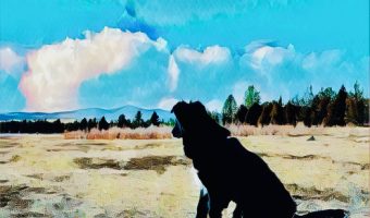 The Charming Bodhisattva practicing mindfulness imagining being a mountain