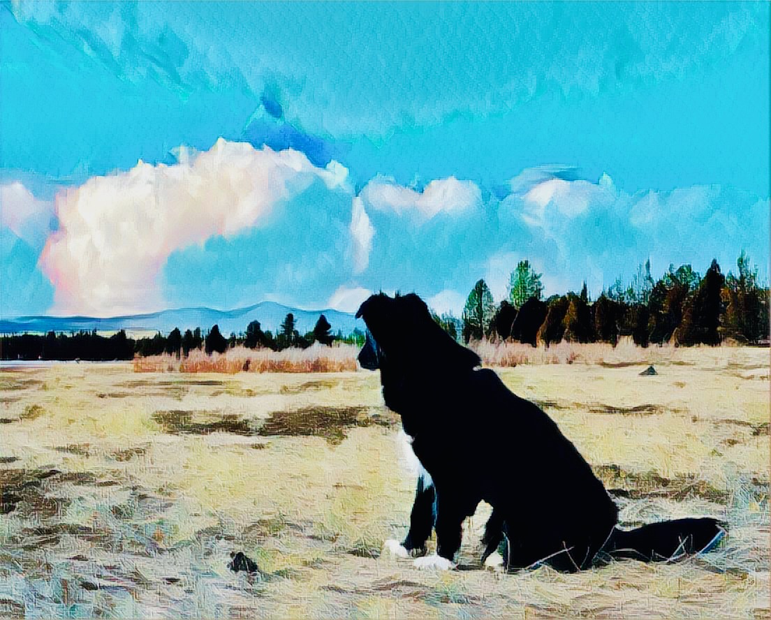 The Charming Bodhisattva practicing mindfulness mountain meditation by Jon Kabat Zinn